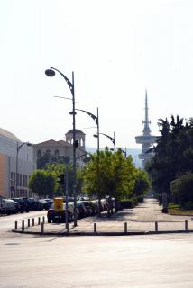 DSC_0565.JPG
