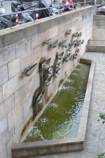 DSC_0462.JPG