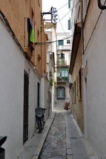 DSC_0588.JPG
