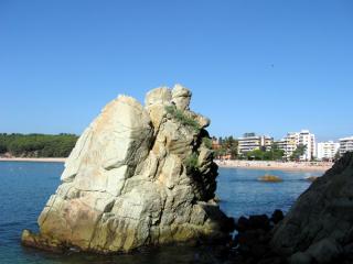 IMG_0952.JPG