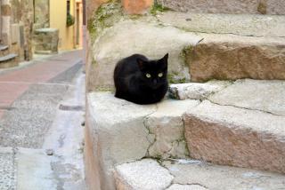 DSC_0375.JPG