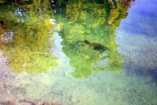 DSC_0032.JPG