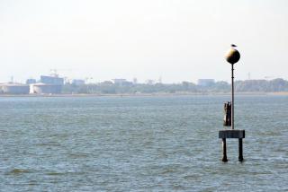 DSC_0300.JPG