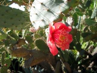 IMG_0898.JPG