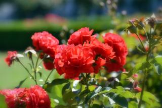 DSC_0061.JPG