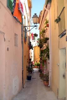 DSC_0370.JPG
