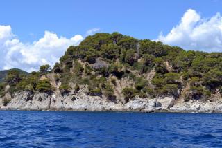 DSC_0765.JPG