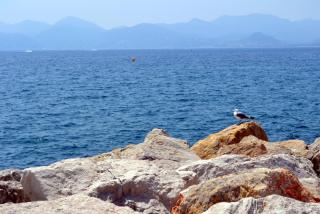 DSC_0514.JPG