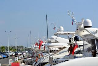 DSC_0466.JPG