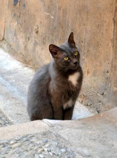 DSC_0373.JPG