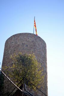 DSC_0798.JPG