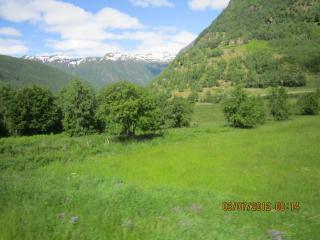 IMG_0349.JPG