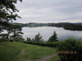 IMG_0550.JPG