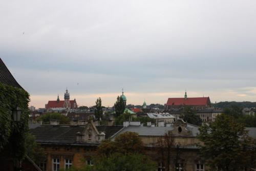 IMG_8550-tiltshift.jpg