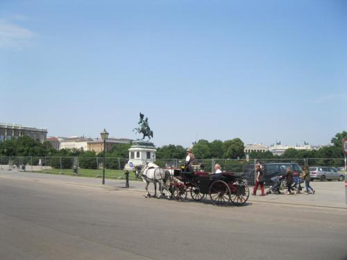 IMG_7278.JPG