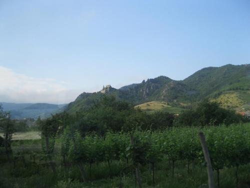 IMG_7465.JPG