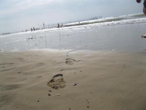 IMG_9310.JPG