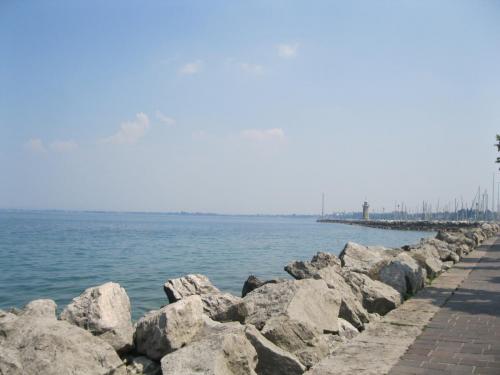 IMG_8266.JPG
