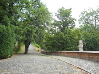 DSCN0291.JPG