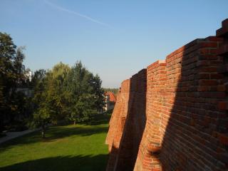 DSCN1768.JPG