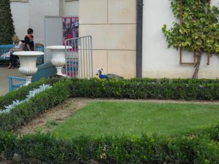 DSCN0413.JPG