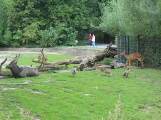 DSCN1674.JPG