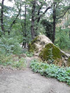 DSCN0568.JPG