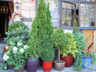 DSCN1766.JPG