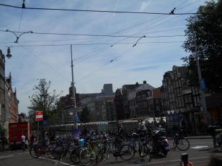 DSCN1464.JPG