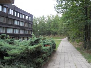 DSCN0064.JPG
