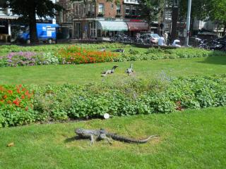 DSCN1445_Местный парк Юрского периода.JPG
