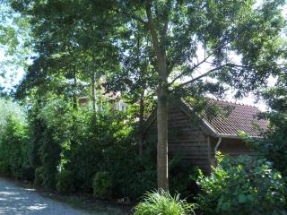 DSCN1406.JPG