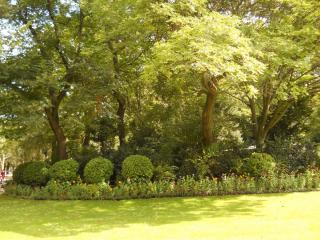 DSCN1250.JPG