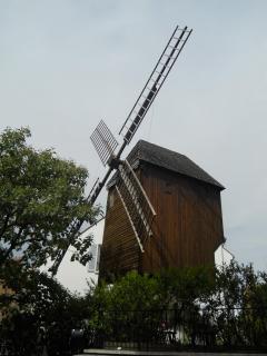 DSCN0949.JPG