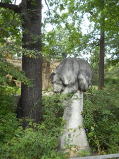 DSCN1658.JPG