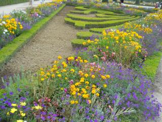 DSCN1053.JPG