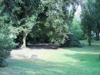 DSCN0511.JPG