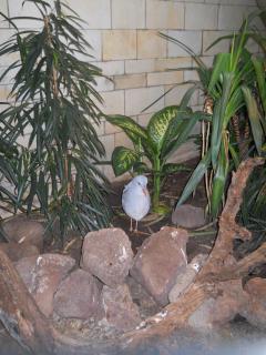 DSCN1664.JPG