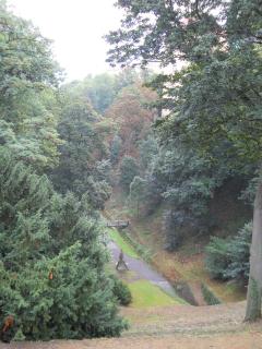 DSCN0293.JPG
