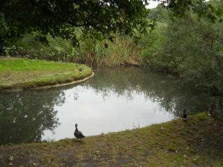 DSCN1675.JPG