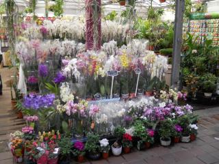 DSCN1477.JPG
