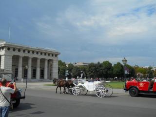 DSCN0141.JPG