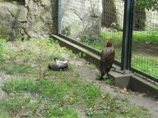 DSCN1626.JPG