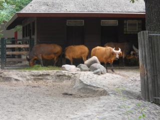 DSCN1648.JPG