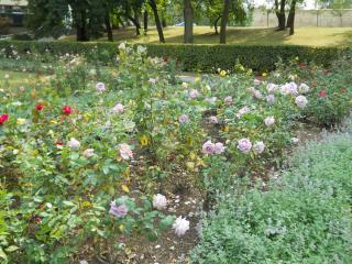 DSCN0564.JPG