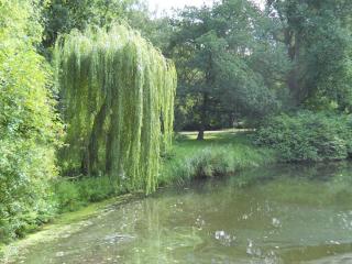 DSCN1609.JPG