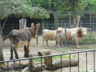 DSCN1681.JPG