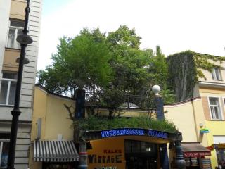DSCN0124.JPG