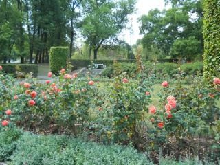 DSCN0563.JPG