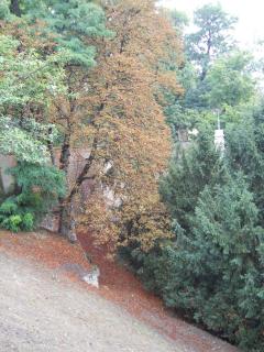 DSCN0294.JPG